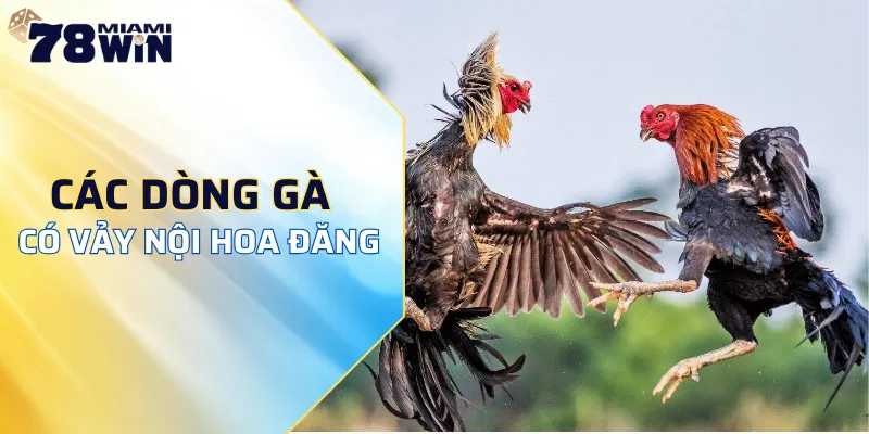 Những dòng gà chiến thường mang vảy nội hoa đăng gà đá